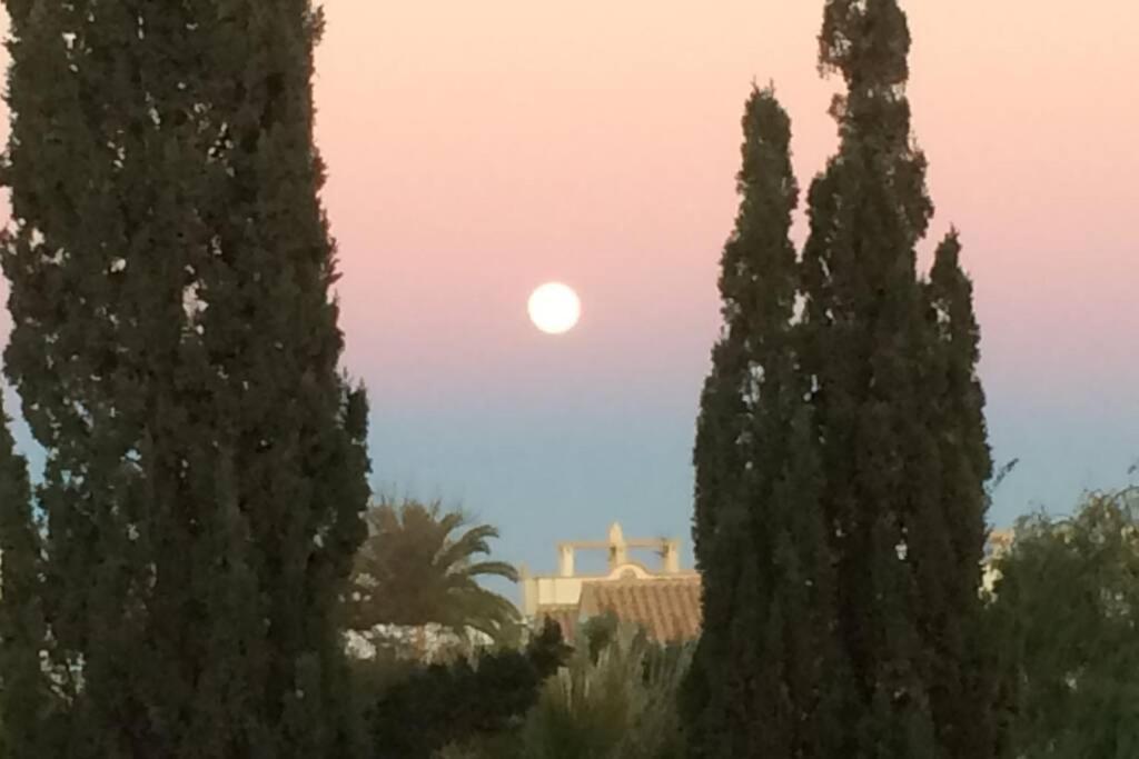 Privates Ferienhaus Villa De Paz - Costa Blanca Οριουέλα Εξωτερικό φωτογραφία